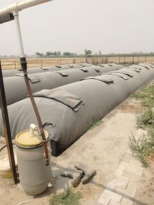 Organic Cow Dung