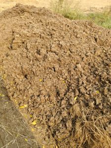 Raw Cow Dung