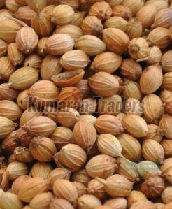 Organic Coriander Seeds