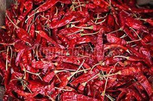 Organic Dry Red Chilli
