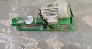 Cast Iron Roto Pump