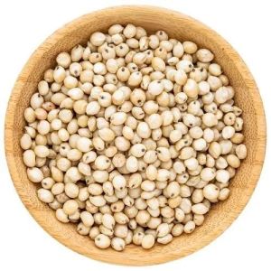White Sorghum Seeds