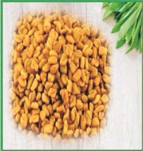 Fenugreek Seeds