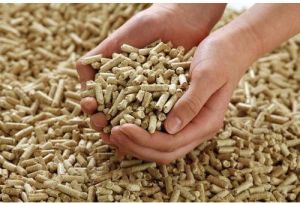 6mm Biomass Pellet