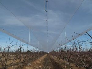 Anti Hail Shade Net House for Apple Orchards