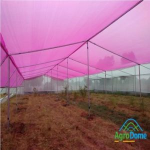 Dome Shaped Poly Tunnel Hoop Greenhouse