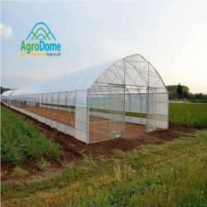 Dome Shaped Single Tunnel Polyhouse