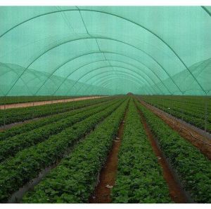 Green Shade Net House