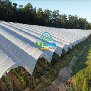 High Tunnel Polyhouse