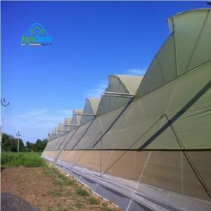 Hybrid Green House Structure for Carrot Farming