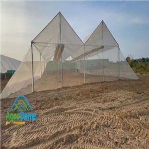 Low Cost Shade Net House