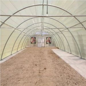 Low Cost Tunnel Single Span Poly House