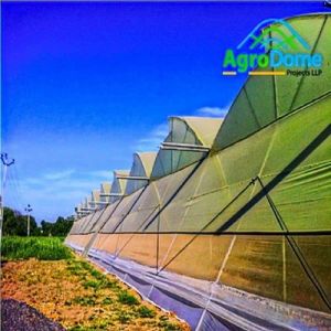 Naturally Ventilated Greenhouse