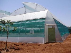 Naturally Ventilated Poly House