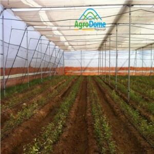 Poly House for Flower Farming