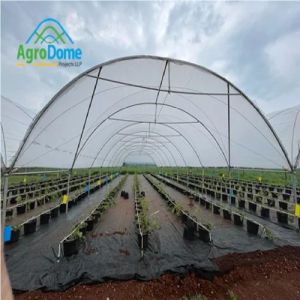 Poly House for Vertical Farming