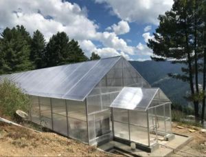 Polycarbonate Sheet Greenhouse