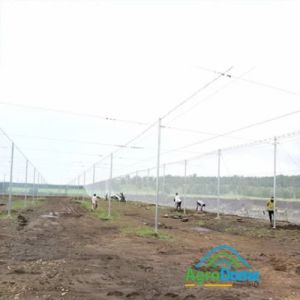 Protected Cultivation Greenhouse For Fruits Farming