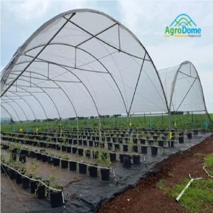 Shade Net House for Blueberry & Raspberry Orchards