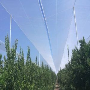 Shade Net House for Orange Orchards