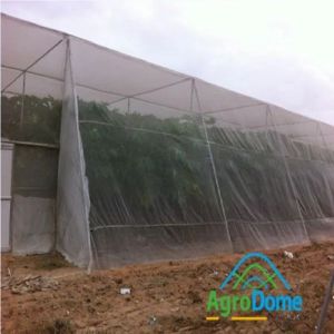 Shade Net House For Papaya Orchards Farming