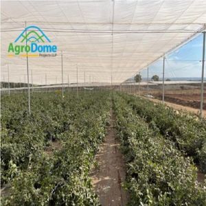 Shade Net House Structure for Orchards