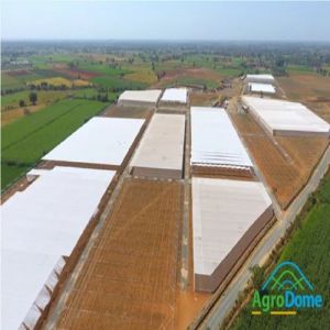 Single Layer Shade Net House