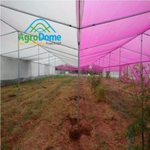 Single Span Poly Tunnel Hoop House