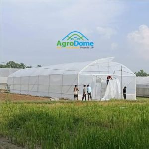 Single Tunnel Polyhouse