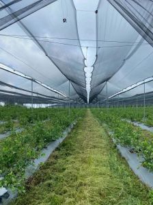 Transparent Anti Hail Shade Net House For Apple Orchards