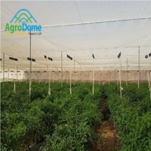 Wire Rope Flat Roof Shaded Net House