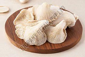 Dried Oyster Mushroom