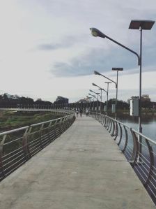 Solar Street Light Solutions