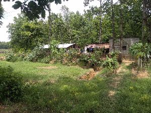 Agriculture Land Sale