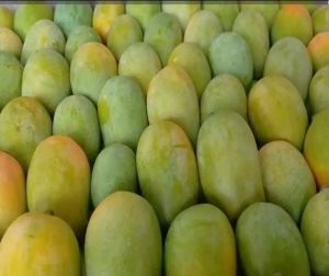 Fresh Langra Mango