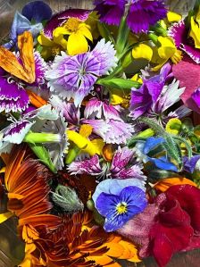 Fresh Dianthus Flower