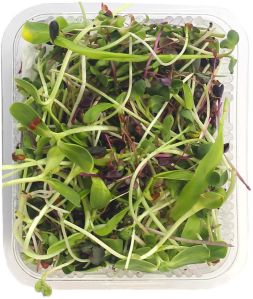 Mix Microgreen