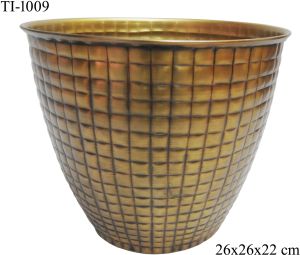 TI-1009 Iron Flower Vases