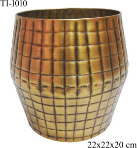 TI-1010 Iron Flower Vases