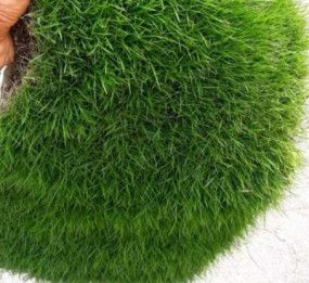 Artificial Landscape Grass