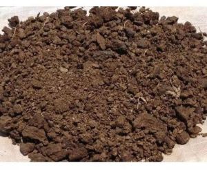 Cow Dung Manure