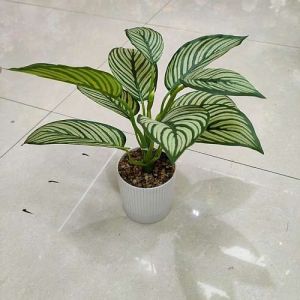 Plastic Glossy Green Artificial Plant