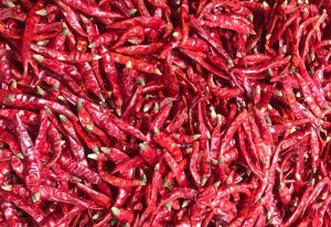 Red Chilli