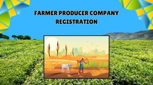 Farmer Producer Company Registration Service