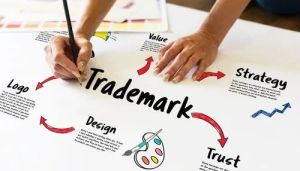 Trademark Registration Service