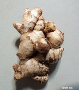 Fresh Ginger