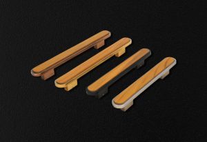 Stainless Steel Main Push Door Handle