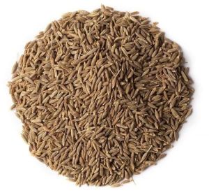 European Quality Cumin Seed