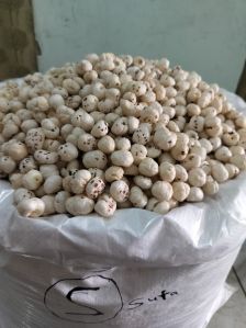 5 Plus Sutta Phool Makhana