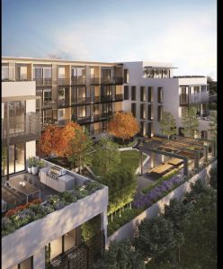 Property Dealers